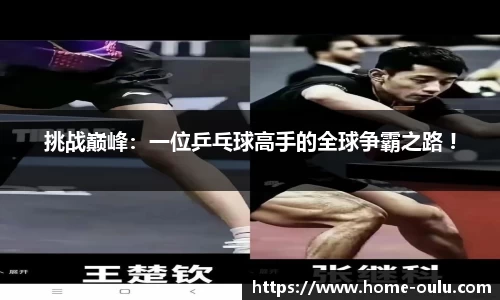 挑战巅峰：一位乒乓球高手的全球争霸之路 !
